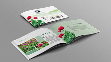 河南省緝毒大隊畫冊