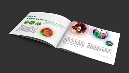 河南省緝毒大隊畫冊